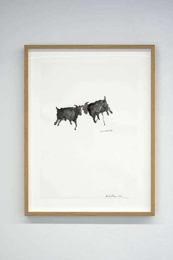 Lois Weinberger, Old Nature, 2000