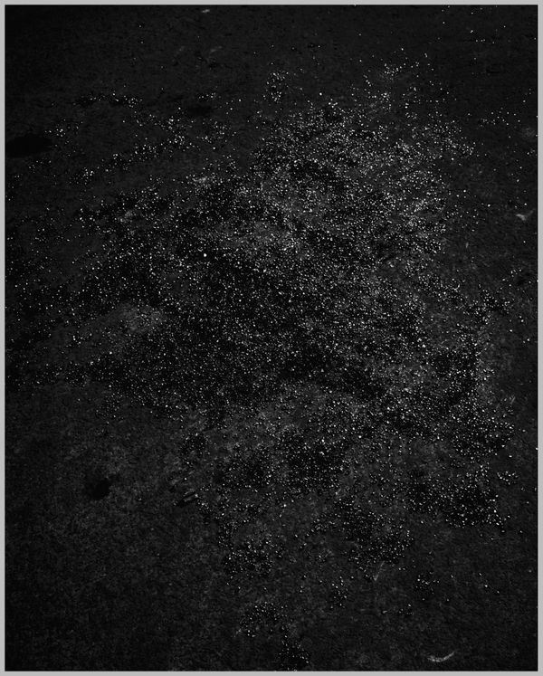 Sybren Vanoverberghe, SNDCSTLSRBBSH40, 2021