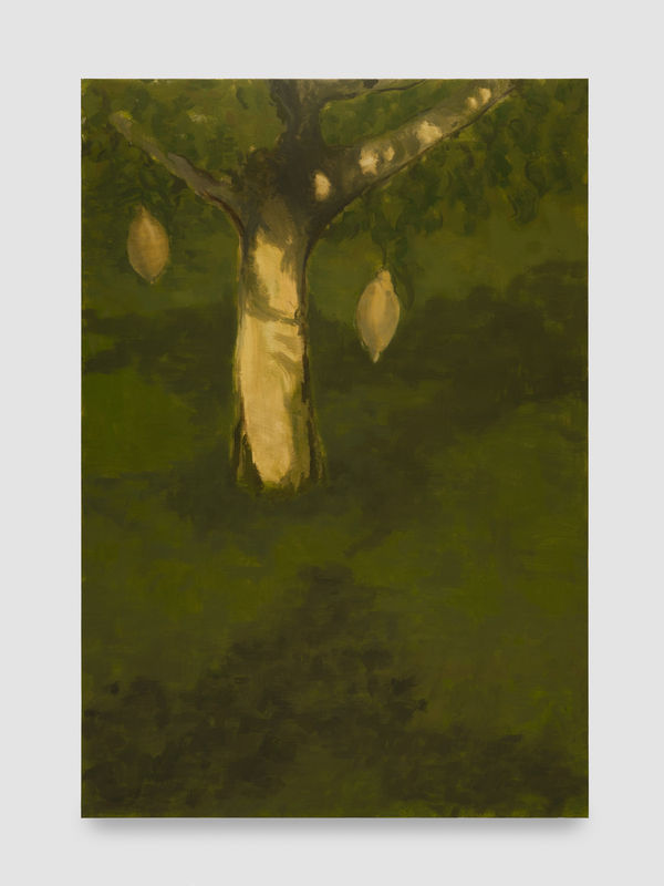 Guy Van Bossche, Wild Lemons #5, 2024