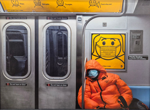 Elaine Byrne, E train Nov 2023