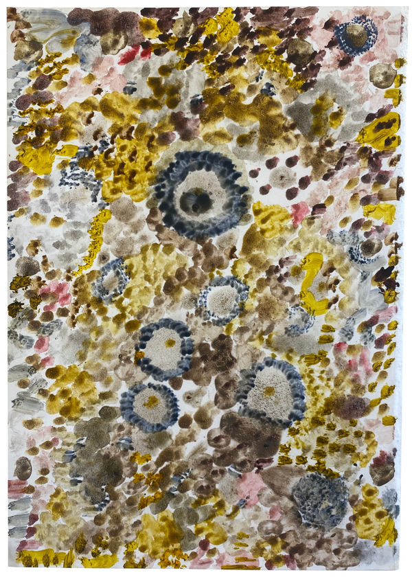 Richard Proffitt, untitled 17, 2022