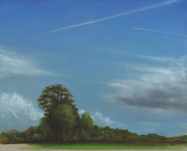 Nevan Lahart, Constable and the Mandela Effect, 2016