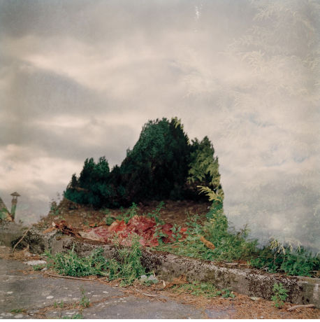 Izabela Szczutkowska, Machine, 2018