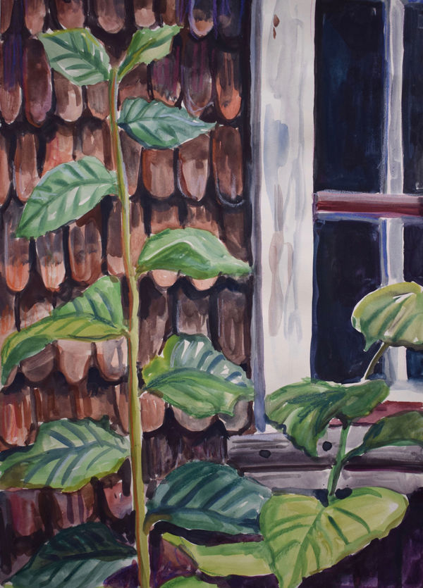 Cecilia Danell, 07 Notebook - 28th April, 2020