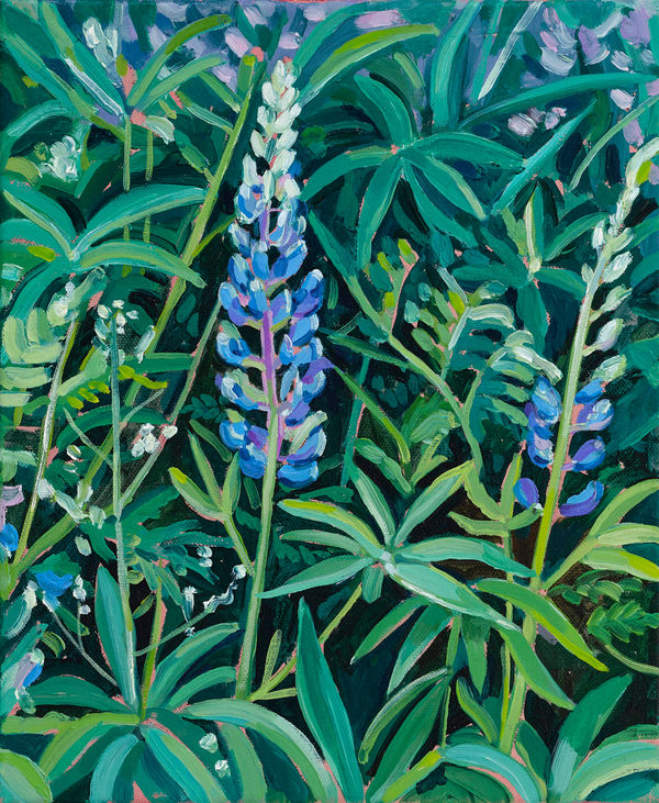 Cecilia Danell, Lupine, 2023