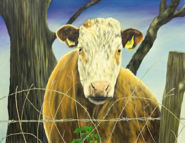 Dermot Seymour, Border wire, 2020