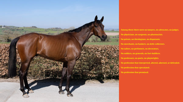 Elaine Byrne, The houyhnhnms 1 , 2025