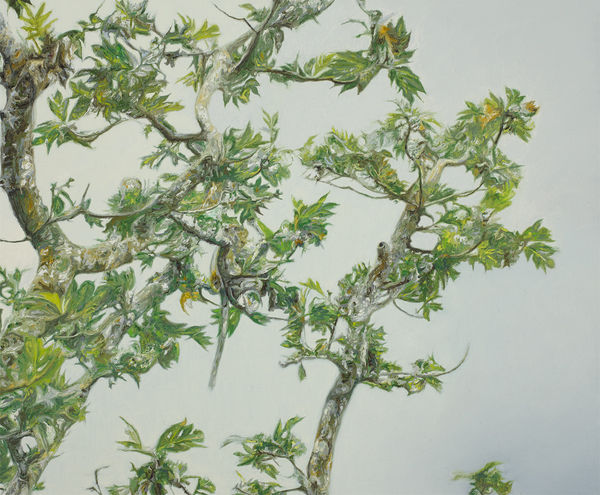 Paul McKinley, Sri Padaya, 2014