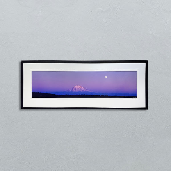 JOE BOYLE, FALL RISING