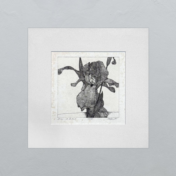 Art Hansen, IRISES A PORTRAIT, 75 APVI,