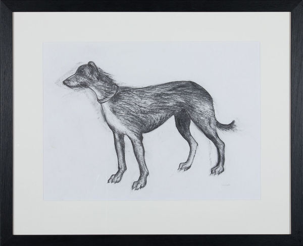 Helen Denerley Lurcher charcoal 40cm x 54cm (76cm x 62cm framed)