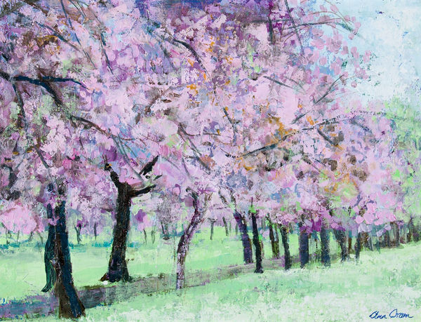 Blossom in the Meadows | ANN ORAM