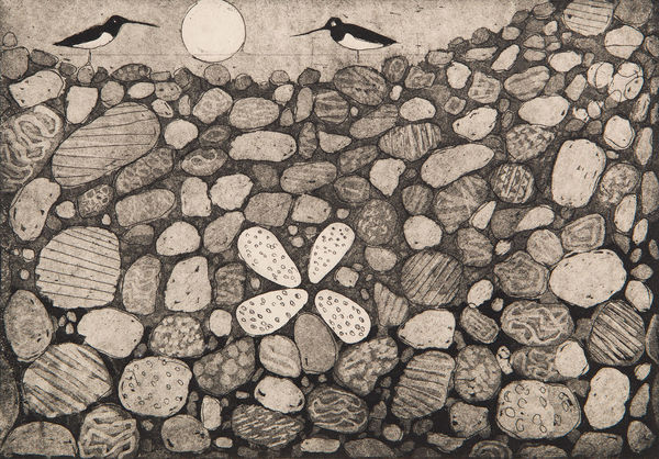 PAUL BLOOMER | eggs | etching | kilmorack gallery