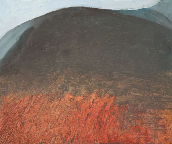 Jane MacNeill, Hillside in Shadow