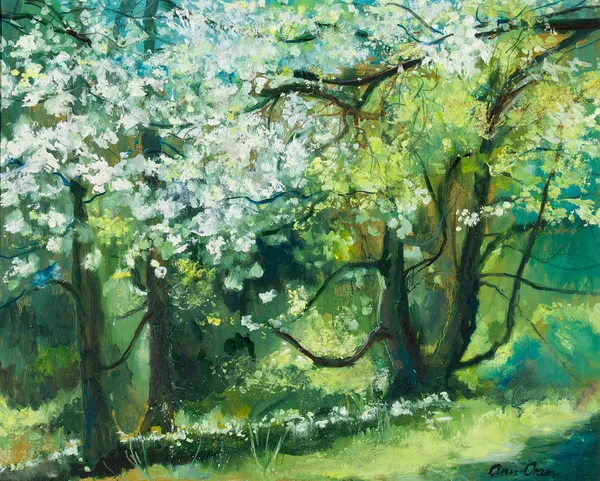 Ann Oram, Spring Trees at Paxton