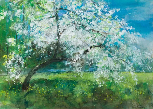 Ann Oram, Blossom, Wemyss Castle