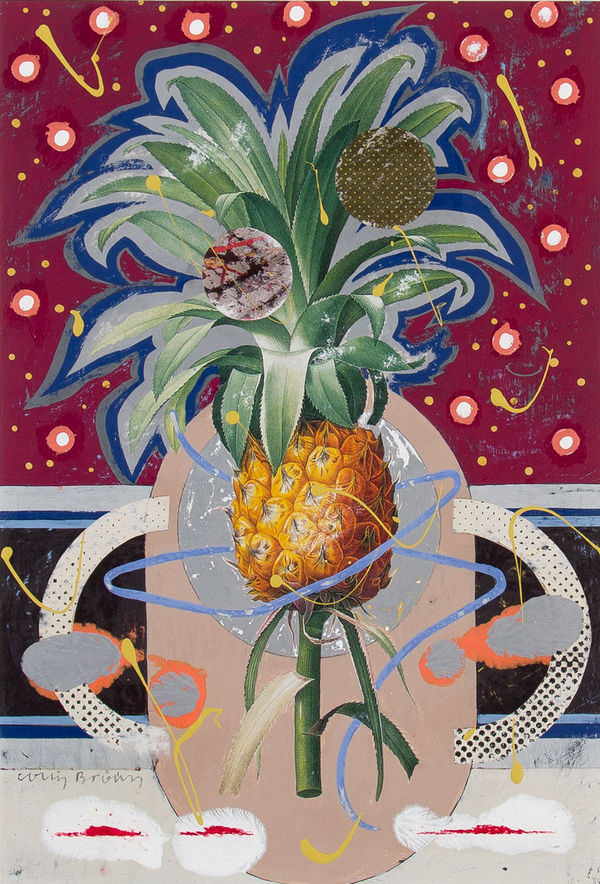Cultivated Ananas - Colin Brown