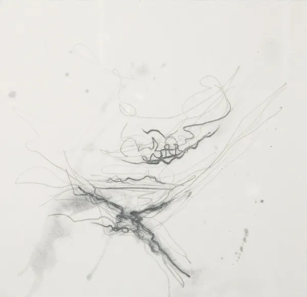 Lizzie Rose Coll i, 2022 pencil 18cm x 18cm framed