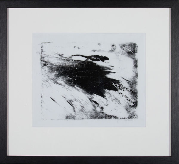 Helen Denerley Lizard on a Rock, 2023 monoprint 20cm x 25cm 42cm x 46cm framed