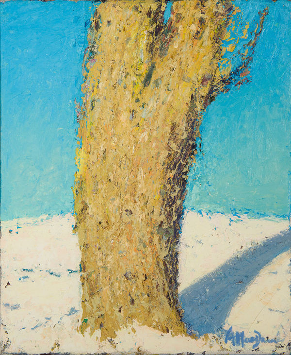 Allan MacDonald oak shadow, 2019 oil on canvas 40cm x 30cm