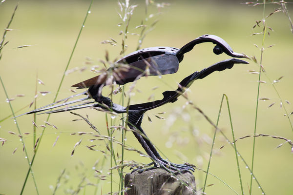 Helen Denerley Starling i, 2019 scrap metal 15cm (h) x 29cm x 11cm