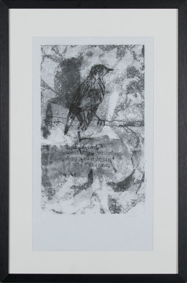 Helen Denerley Songthrush, 2023 monoprint 39cm x 24cm 85cn x 43cm framed
