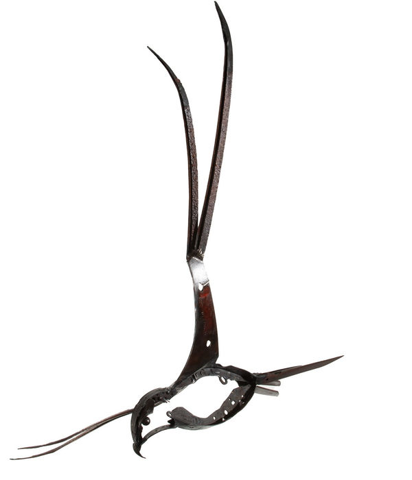 Helen Denerley red kite