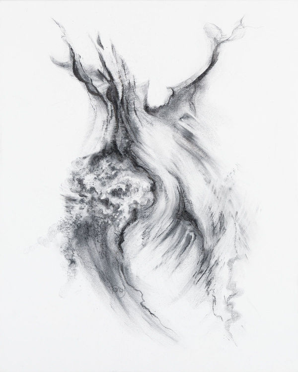 Tansy Lee Moir Rivers of Oak 010, 2022 charcoal on canvas 50cm x 40cm (53cm x 43cm framed)