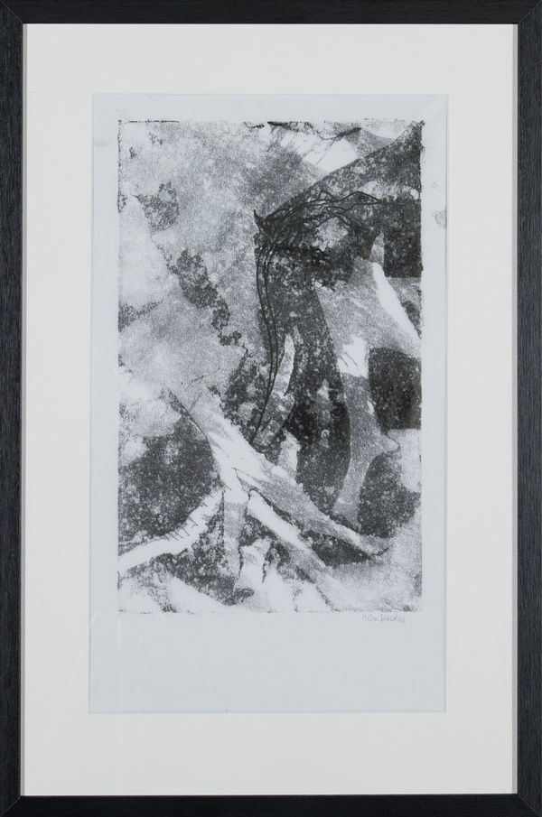 Helen Denerley Lizard on rock i, 2023 monoprint 39cm x 24cm (85cm x 43cm framed)