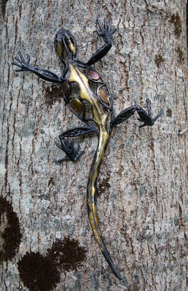 Lizard Helen Denerley