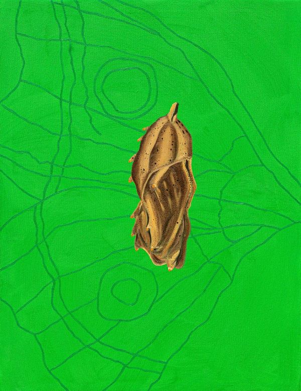 Thebe Phetogo, Proposition 3 - Indicator Species, Painting 3 , 2023