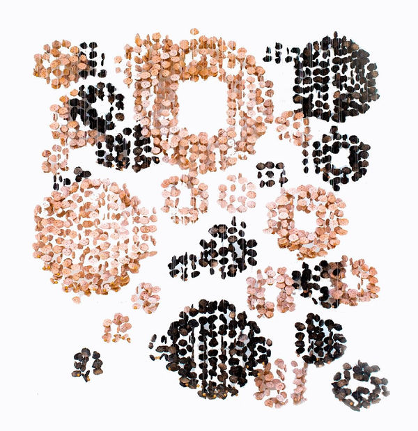 Ngozi-Omeje Ezema, Entities, 2022