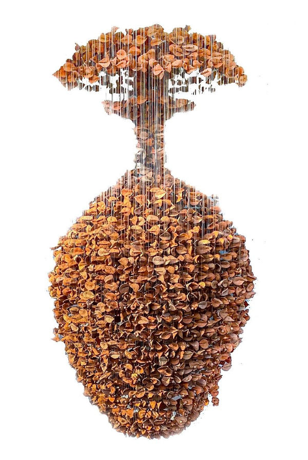 Ngozi-Omeje Ezema, Growth, 2022