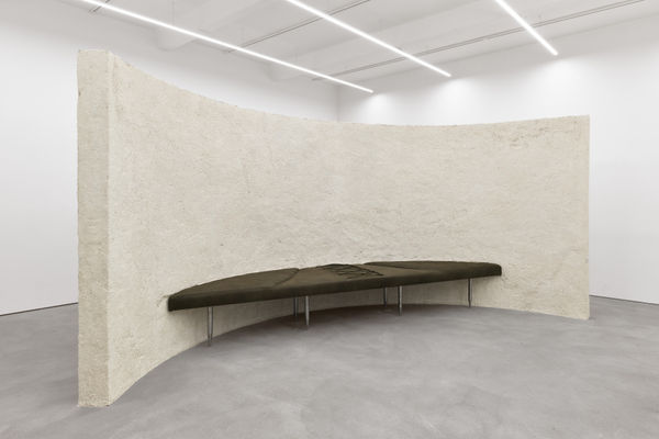 Untitled (from the series Nest)