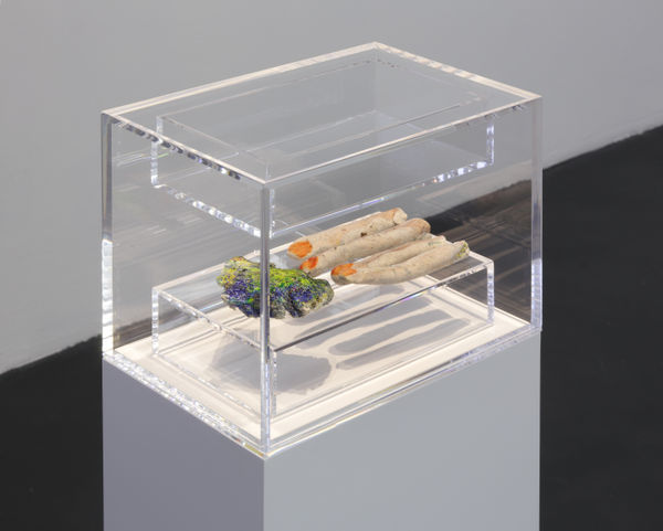 AKA / Scattered A, Scattered K / Sleep (fragment)