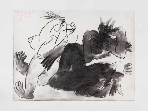 Schlachtenseerosen am 8. Juni 1986