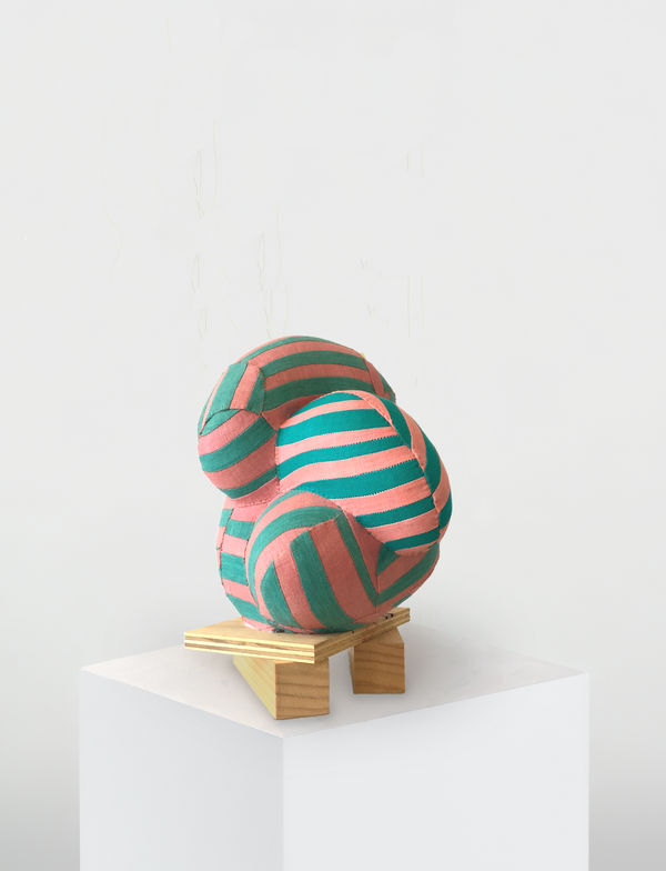 Lauren DiCioccio, Gonzo, 2018