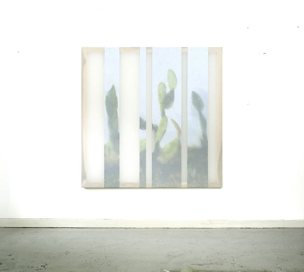 Martine Poppe, 00.31 28.08.2015, 2015