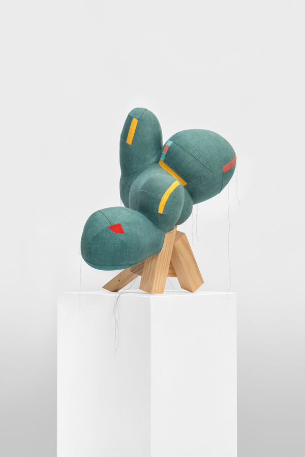 Lauren DiCioccio, Forest for the Trees, 2018