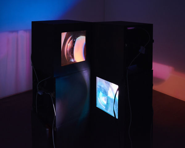 James Alec Hardy, N.E.W.S., 2017