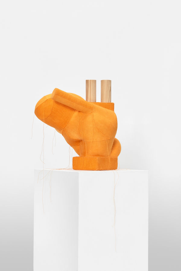 Lauren DiCioccio, Screw Steamer, 2018