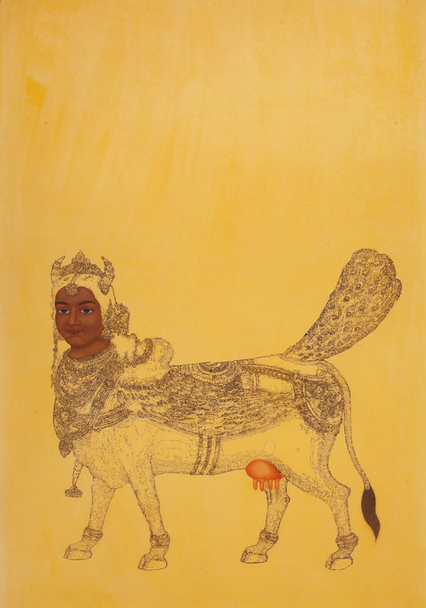 Muhammad Zeeshan, Maa, 2015