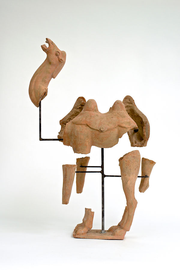 Bouke de Vries, Deconstructed camel, 2017