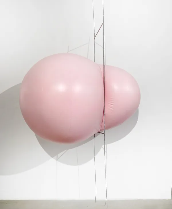 Alexandra Searle, Suffuse, 2026