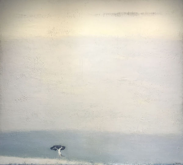 Yang Din 楊登雄, Tree in the Universe《宇宙中的一顆樹》, 2004