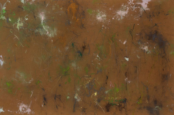 Myonghi 明 姬, Sanyang Forest《山陽森林》, 2017