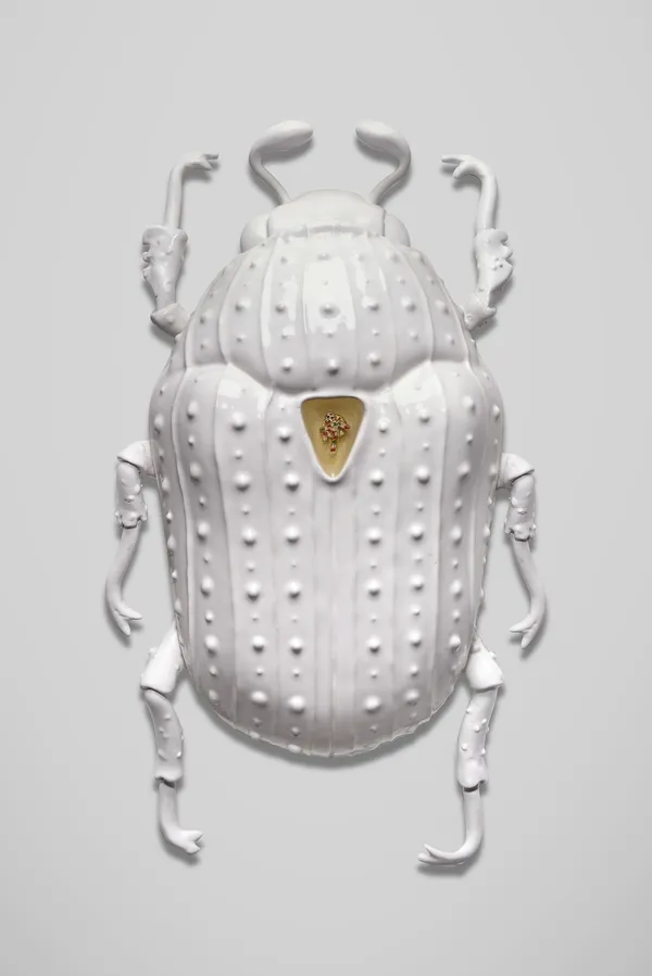 Matteo Pugliese 瑪蒂奧 ‧ 培利思, Celebesia Albens , 2017