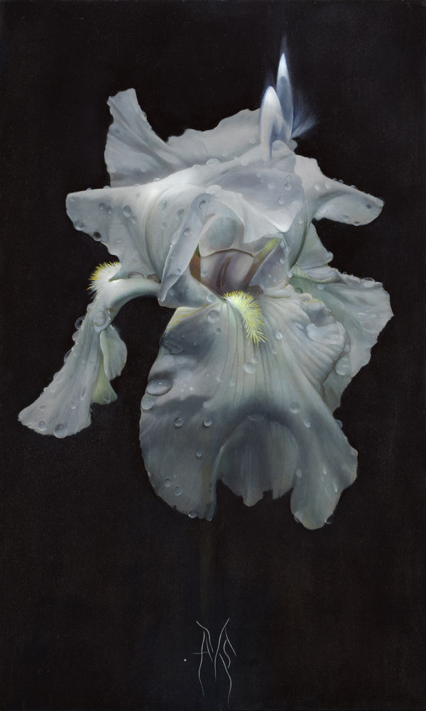 Atsushi Suwa 諏訪敦, Mixed Race Ver. 5 《混血之五》, 2018-2019