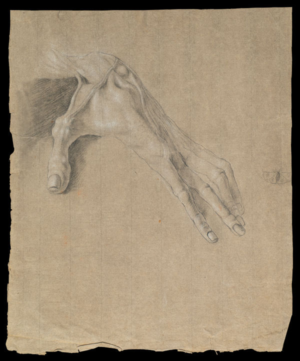 Detailed anatomical study of a hand in pencil by Jacques-Laurent Agasse, highlighting muscles and tendons, by Jacques-Laurent Agasse.
