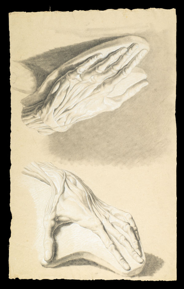 Jacques-Laurent Agasse, a detailed anatomical drawing of hands by Jacques-Laurent Agasse, showcasing intricate muscle and bone structure.